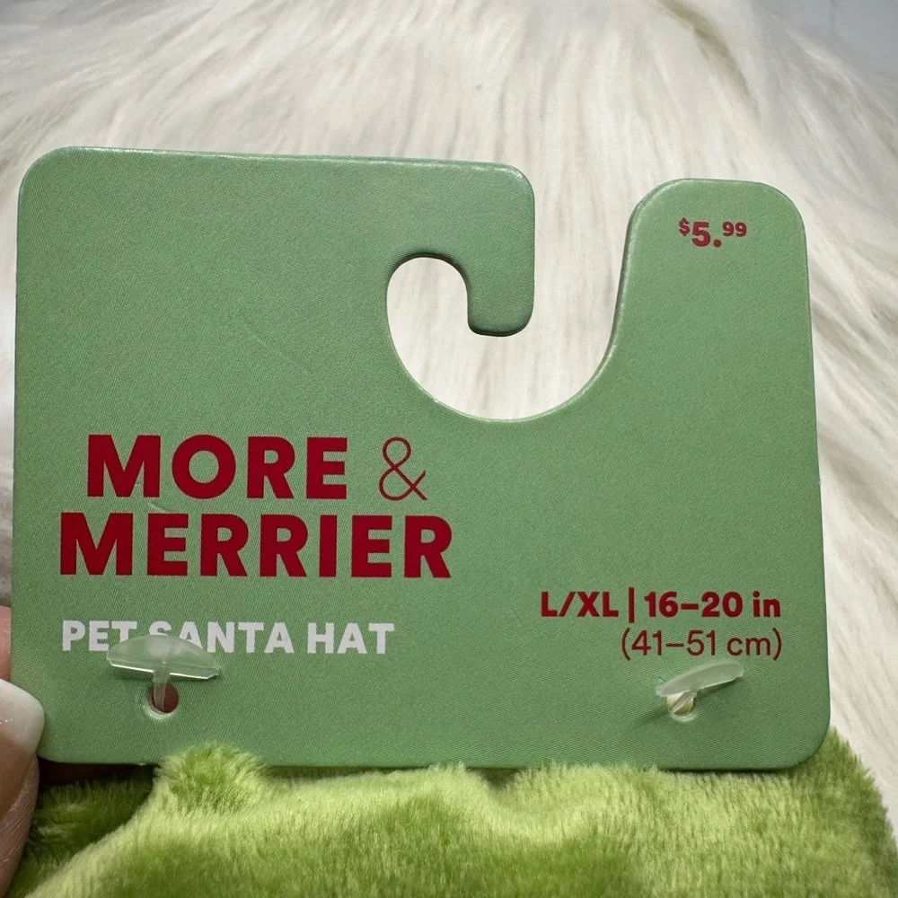 🩷5/$10 Green and White PET Santa Hat
